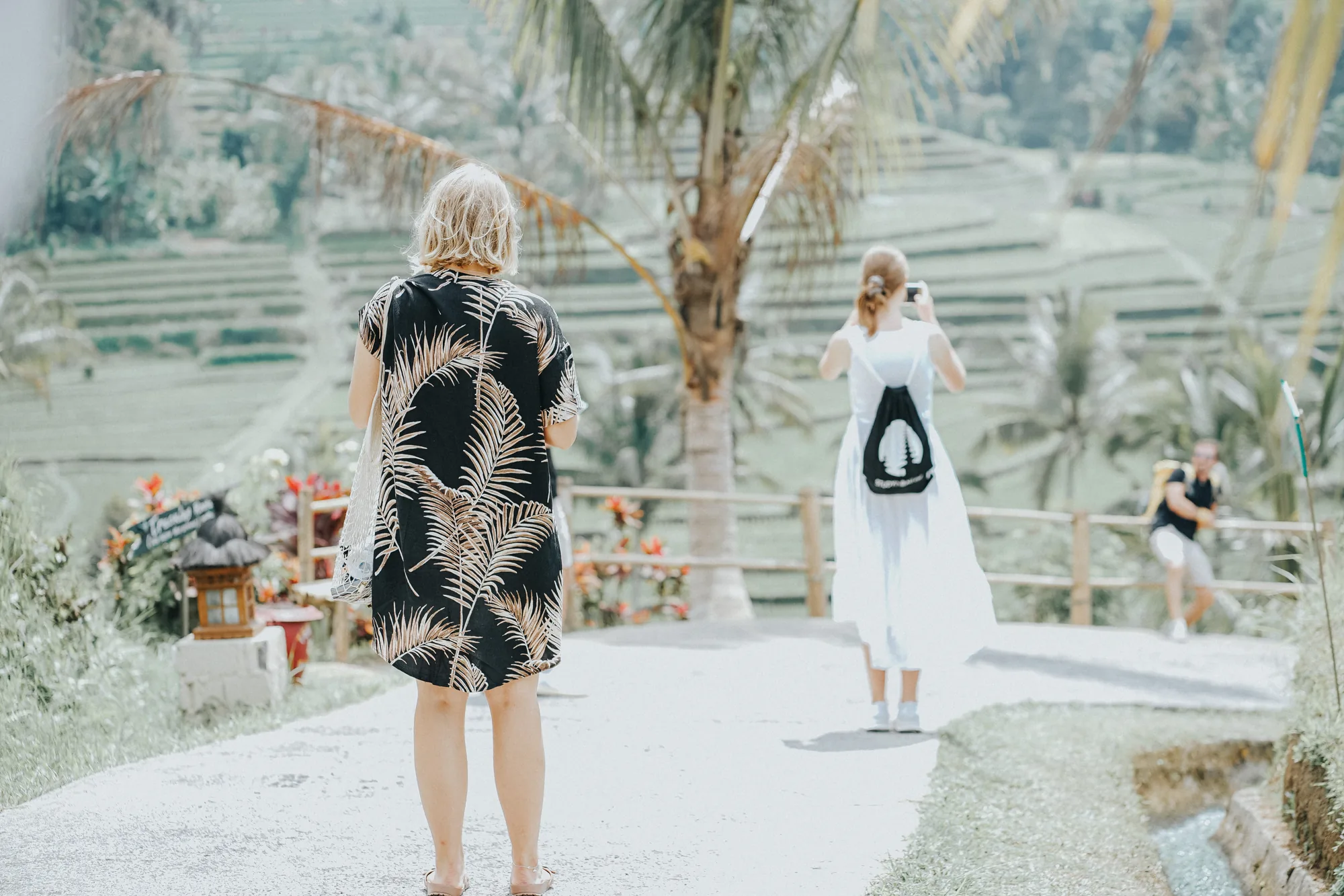 A student looking over the rice terraces