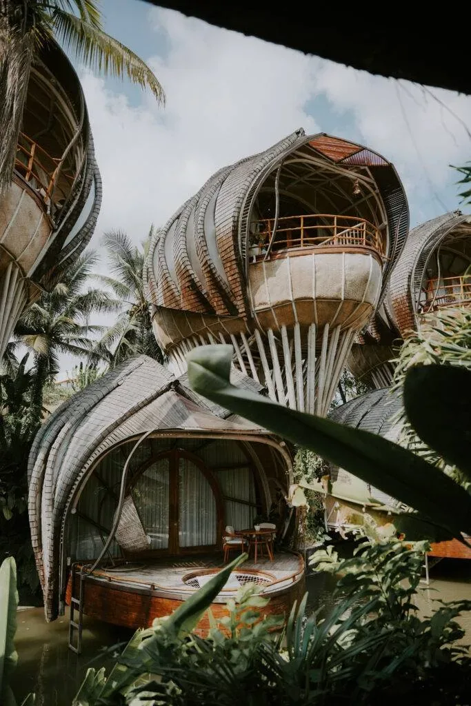 Tropical Architecture, Interior & Green Design