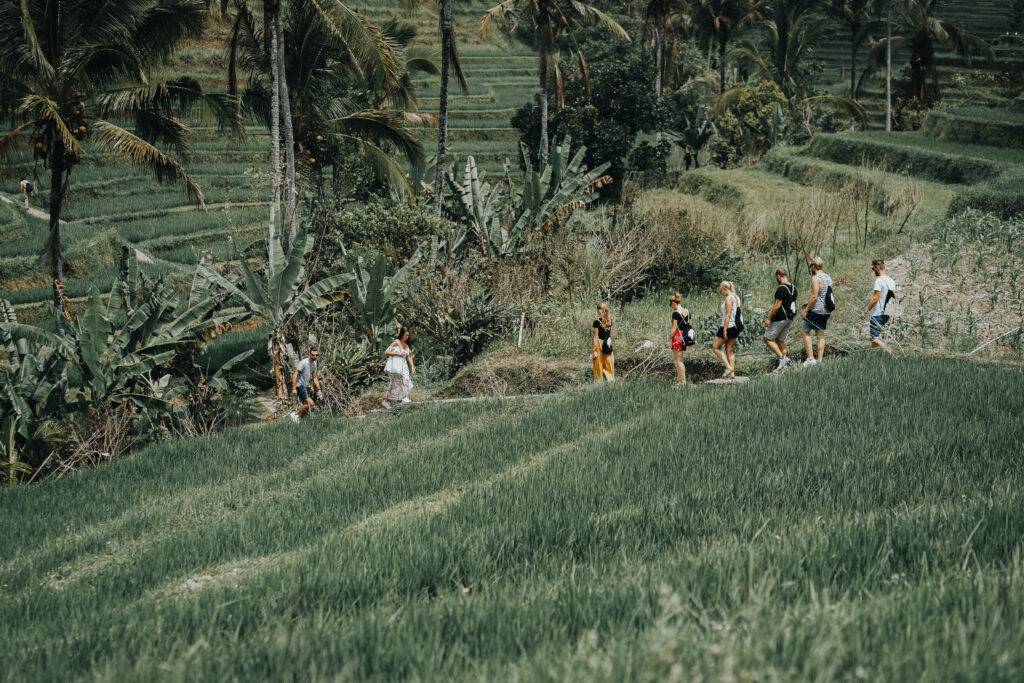 Students from the Southeast Asian Engineering study abroad program at Universitas Udayana (UNUD) exploring the Jatiluwih Rice Terraces, a UNESCO World Heritage Site in Bali, as part of their field trip.